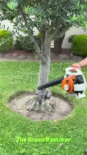 Blowing | Pressure Washing | Weeding | Cleaning | Edging #shorts #satisfying #gardening