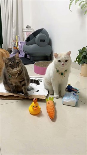 Unleash Your Potential: The Key to Learning is in the Teacher's Hands