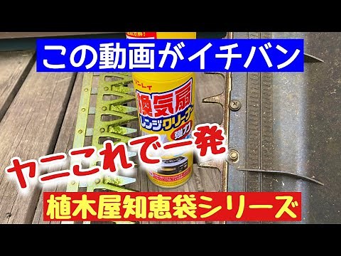 これが最高【ヤニ取り】実際の動画で一目瞭然【園芸道具手入れ】