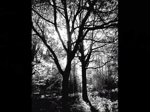 Ramsey Lewis - After The Rain