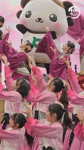 Mokaちゃんねる | We are 独壇場 半布里×常笑 コラボ おんさいEXPO2025 どまつり よさこい 10月26日に岐阜県美濃加茂市... | Instagram