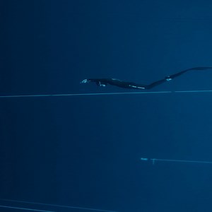 It's incredible what the human body can do, and how far we are able to push it. 🎬 The Deepest Breath | Netflix