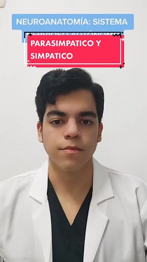 Bases del Sistema Nervioso: Simpático y Parasimpático en Medicina