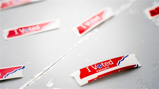 Knox County mayor primary election voter's guide: Meet the candidates