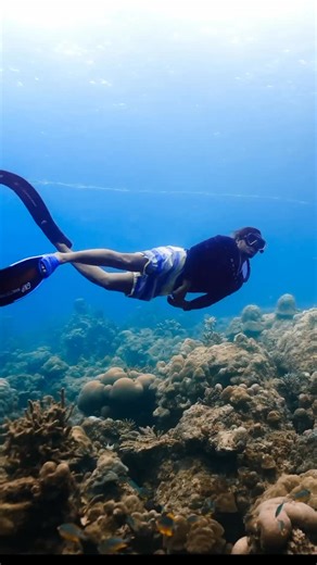 Temple Adventures | Scuba Diving Courses & Experiences | India on Instagram: "Month of Epic Adventure: One Breath at a Time!! Freediving Camp in Havelock Islands, Andamans Island | March 2026 Why go far when our own backyard offers the most serene crystal clear calm waters, thriving marine life and breathtaking coral gardens and drop-offs. The perfect waters to leap into the world of freediving and become once with the ocean!! @paditv @paditravel Dates🗓️: March 1st - March 27th 2026 Location📍: