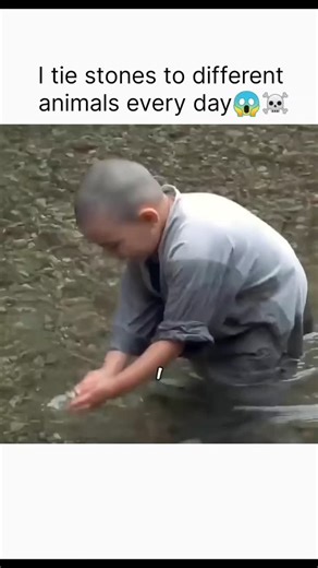 reel creator on Instagram: "​🎬 Movie Overview ​Title: Spring, Summer, Fall, Winter... and Spring 🌸🍂❄️ ​Director: Kim Ki-duk ​Genre: Drama/Art House ​Runtime: 1 hour 43 minutes ​Language: Korean ​Release Date: August 14, 2003 (South Korea) ​Cast: Oh Yeong-su, Kim Ki-duk, Kim Young-min, Seo Jae-kyung, Ha Yeo-jin ​Plot Summary ​The film is divided into five segments, each representing a season in the life of a Buddhist monk. It begins with a child monk learning harsh lessons about the consequenc