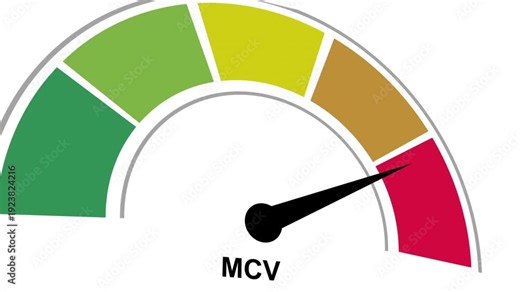 Animated MCV (mean corpuscular volume) level meter moving from low level to normal level, ideal for concept.