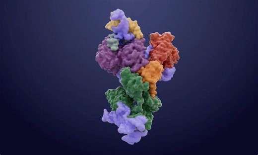 Unraveling the secrets of telomerase, an enzyme linked to aging and cancer – Lifeboat News: The Blog