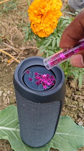 JBL_base _ star_the_ test