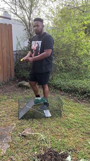 Battle for the Backyard: We bought our own trap.