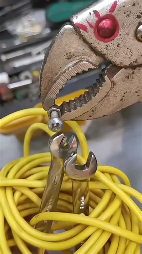 #LIVEInentiveProgram #LIVEFEST2026 #MakeLIVECount #PaidPartnership#