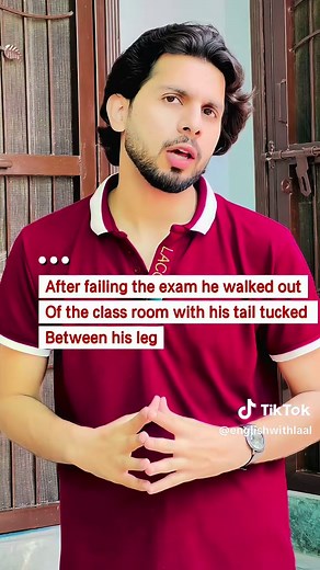 Understanding 'Tail Tucked Between Legs' Meaning