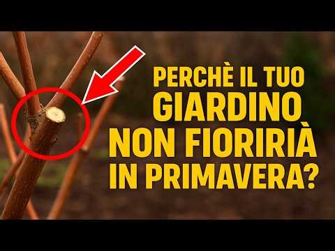 Why won't your garden bloom in spring? 🌺 A fatal mistake in fall pruning.