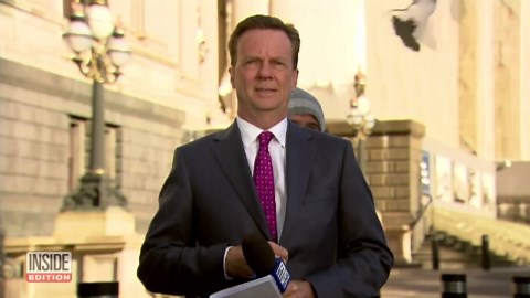 Bird Attacks Caught on Camera