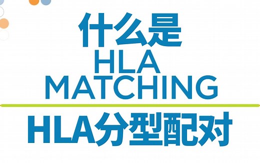 【中字】什么是HLA分型配对【造血干细胞移植】