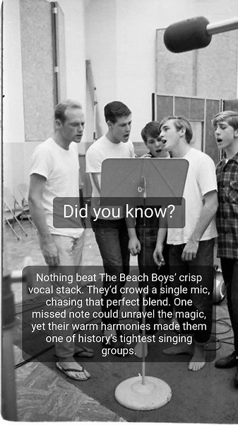 Beach Boys Daily on TikTok