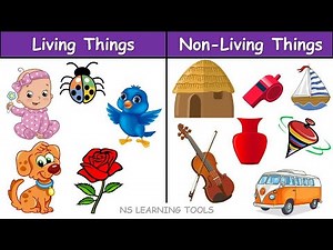 living things and non living things | Living and non living things for kids | What are living things