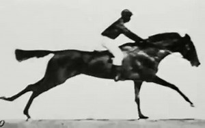 【骨灰合集】1878年-1895年的电影合集