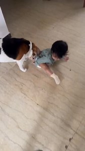 When your dog becomes the unofficial baby monitor 👶🐶💩 The look that says — “Human, we’ve got a situation here!” 😂 (Funny, relatable, dog and baby) | Doodle