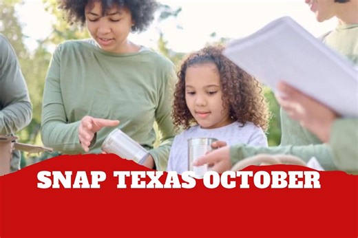 SNAP Texas Recertification May 2026: Steps to start renewing your food stamps