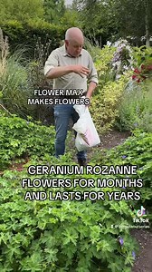 Geranium “Rozanne “ Flowers for months and lasts for years. Excellent for ground cover and loved by bees and pollinators. Fertilise all flowering plants from now with FLOWER MAX for lots of flowers . Flower Max is perfect for Hydrangeas,Roses ,Perennials,Flowering Shrubs..apply every 4 -6 weeks until October Available in webshop https://pergolanurseries.ecwid.com ALL IRELAND DELIVERY 🚚 32 Counties WEBSHOP https://pergolanurseries.ecwid.com Pergola Nurseries Garden Corner, Virginia,Co Cavan A ga