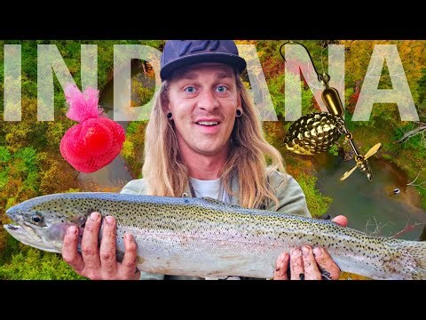 Fall Run Steelhead & Midwest Salmon Adventure