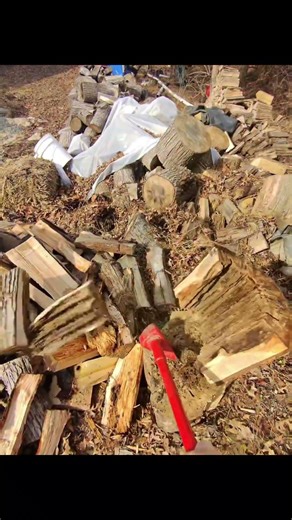 The satisfying sounds of splitting wood by hand #hardscaper #firewood #winter