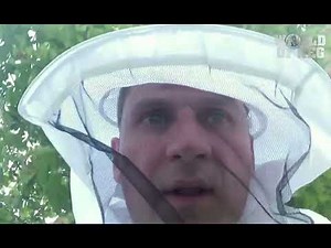 Bachelor party gone wrong