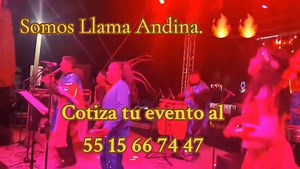 55 1566 7447 | Llama Andina