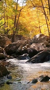 You can help protect Canada's public land, freshwater and oceans by donating to Canadian Parks and Wilderness Society. | CPAWS · SNAP Canada