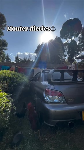 #wrxsti #stickers #photography#photooftheday