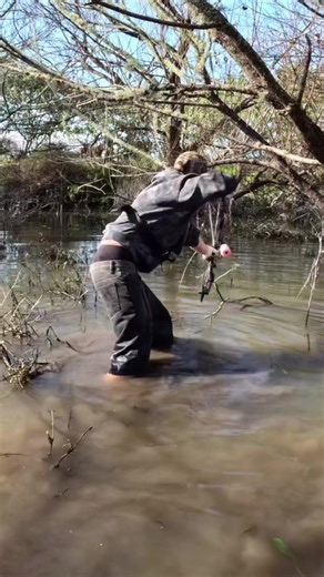 Bowfishing Adventures in New Zealand