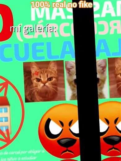 eh vuelto!🗣🔥 #parati #family #minecraft #humor #gato #supercattales #shorts #edit #animation #family