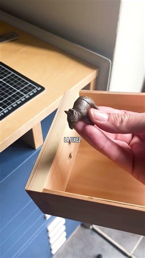 😳 L’incroyable cachette secrète