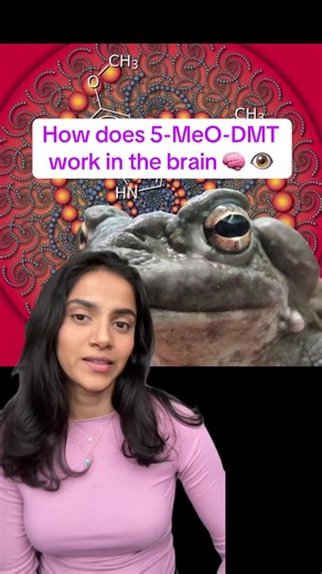 Understanding 5-MeO-DMT Effects on Brain Function