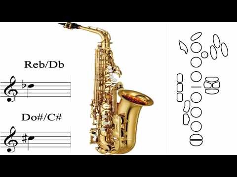 How to play Saxophone Notes, Notele Saxofonului Alto