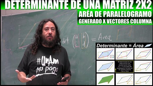 28K views · 803 reactions | Determinante de una matriz de 2x2 es el área del paralelogramo generado por los vectores columna de la matriz ( Efraín Vega Landa ) #Matemáticas #Física #Álgebra #Geometría #ÁlgebraLineal #Determinante #Matriz, #2X2 #Área #Paralelogramo #FunciónLineal #TransformaciónLineal #CienciasTV | Ciencias TV | Facebook