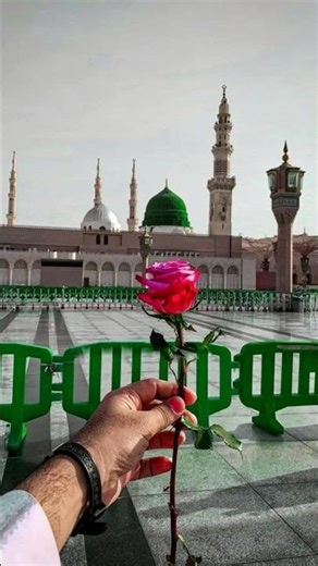 naat Shareef madina Sharif 🥰♥️ @mohdRihan-h6s🕋🕋🌹🌹🕋♥️🥰