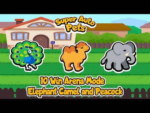 Super Auto Pets | Elephant, Camel, Peacock Strategy | 10 Win Arena Mode