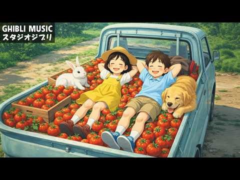 ジブリメドレーピアノ🌊 美しい2時間のスタジオジブリ音楽 🔔 ジブリ史上最高のリラックス BGM