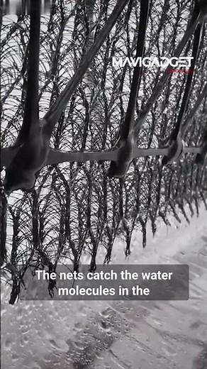 These fog nets capture water! ( The system known as “cloud fishing”)