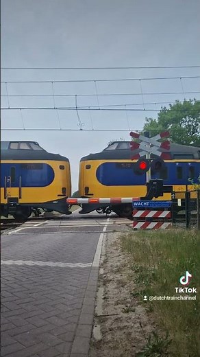 Dutch railroad crossing at Steenwijk #dutchrailroadcrossing #railwaycrossing #train #trainspotting