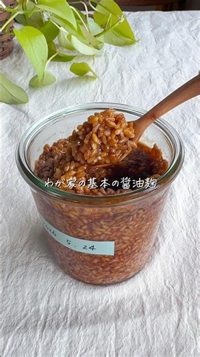 無添加歴11年 基本の醤油麹