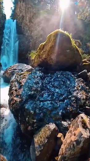 Nature🌿🍃 | Meditation Music #shorts