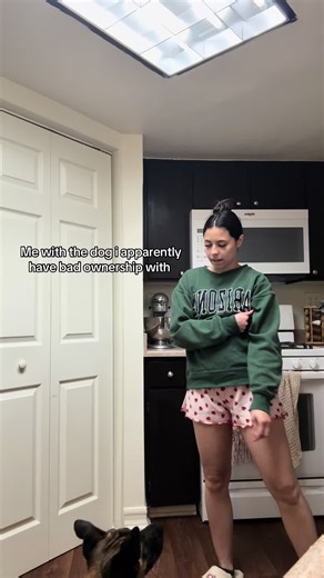 Training My Rescue Dog: Tips for New Dog Owners