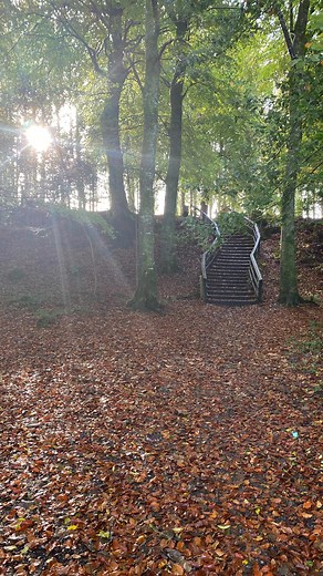 Castle Caldwell Forest just 5 minutes from Keenaghan Cottage and well worth a morning stroll. 📍 Castle Caldwell Boa Island Road Belleek #castlecaldwell #forestwalk #belleek #fermanagh #keenaghancottage | Keenaghan Cottage