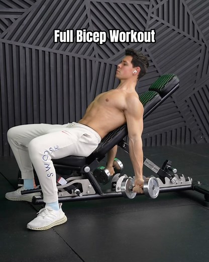 Brody Will | Online Fitness Coach on Instagram: "Full Bicep Workout ⬇️ Pick One Exercise From Each Category 💪🏼 Long Head Exercises: ▪️Seated Incline Curl ▪️Behind the Back Cable Curl Short Head Exercises: ▪️Concentration Curl ▪️EZ Bar Preacher Curl Brachialis Exercises: ▪️Cross Body Curl ▪️Dumbbell Hammer Curl I recommend doing 2-3 sets of each selected exercise for 8-12 reps! 💪🏼 If you want some aesthetic looking arms… Then you need a great pair of biceps‼️ We need to do 3 things for a comp