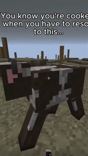 Last resort #frustrated #minecraft #minecrafthumor #gamer #minecraftjokes #peak #resort #life