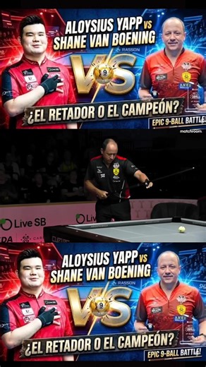 Shane Van Boening's Amazing Pool Shot