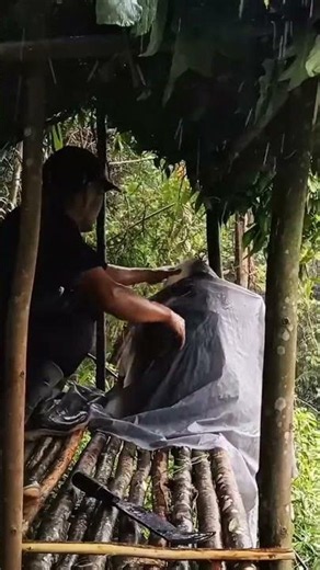 Building a Cliff Shelter in a Storm with Only Natural Materials No Plastic Survival